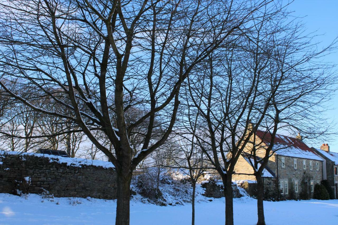 White House Cottages Дърам Екстериор снимка